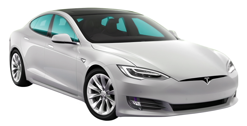 Diagram showing all side and rear windows tinted